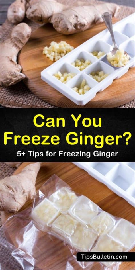 Can you freeze ginger. Things To Know About Can you freeze ginger. 